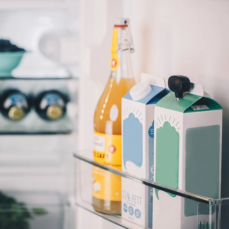 Milchlanze 2 Milchlanze – Bild 2